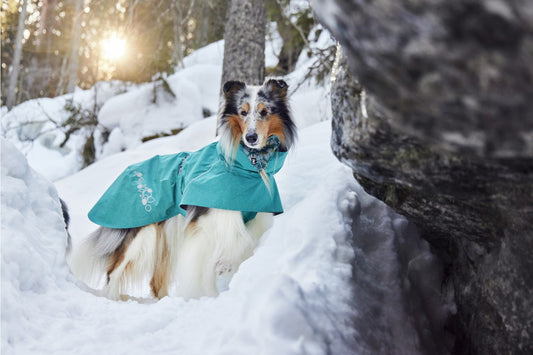 Hurtta Regenmantel Monsoon Coat II ECO