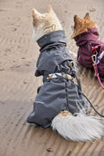 Bild in Galerie-Betrachter laden, Hurtta Regenmantel Mudventure Coat ECO
