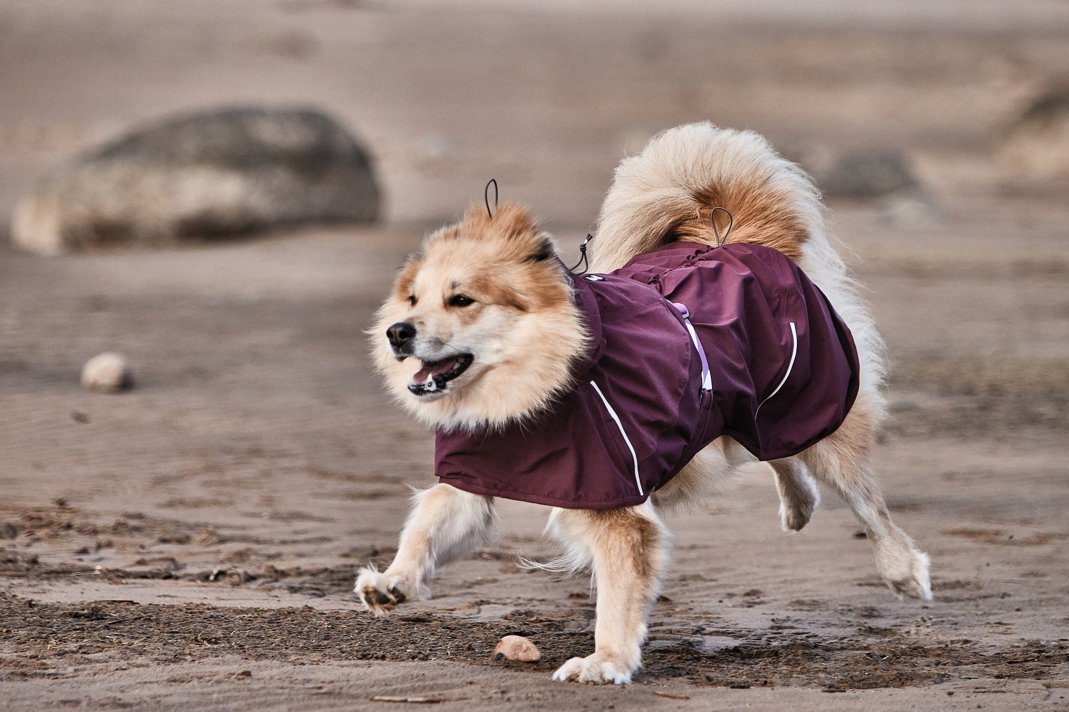 Hurtta Regenmantel Mudventure Coat ECO