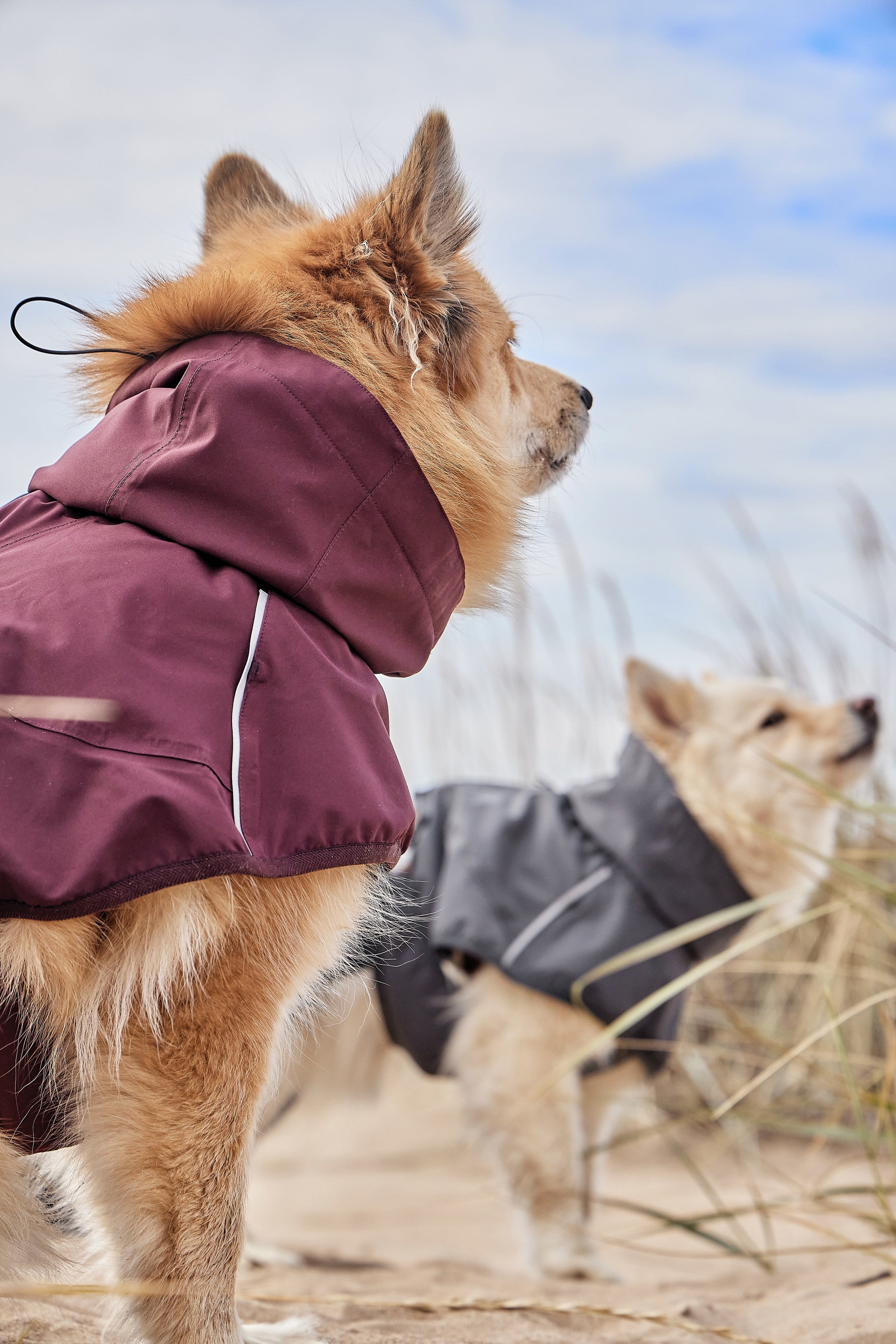 Hurtta Regenmantel Mudventure Coat ECO