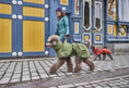 Bild in Galerie-Betrachter laden, Hurtta Regenmantel Mudventure Coat ECO
