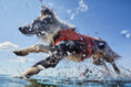Bild in Galerie-Betrachter laden, Hurtta Life Savior ECO Schwimmweste für Hunde
