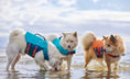 Bild in Galerie-Betrachter laden, Hurtta Life Savior ECO Schwimmweste für Hunde
