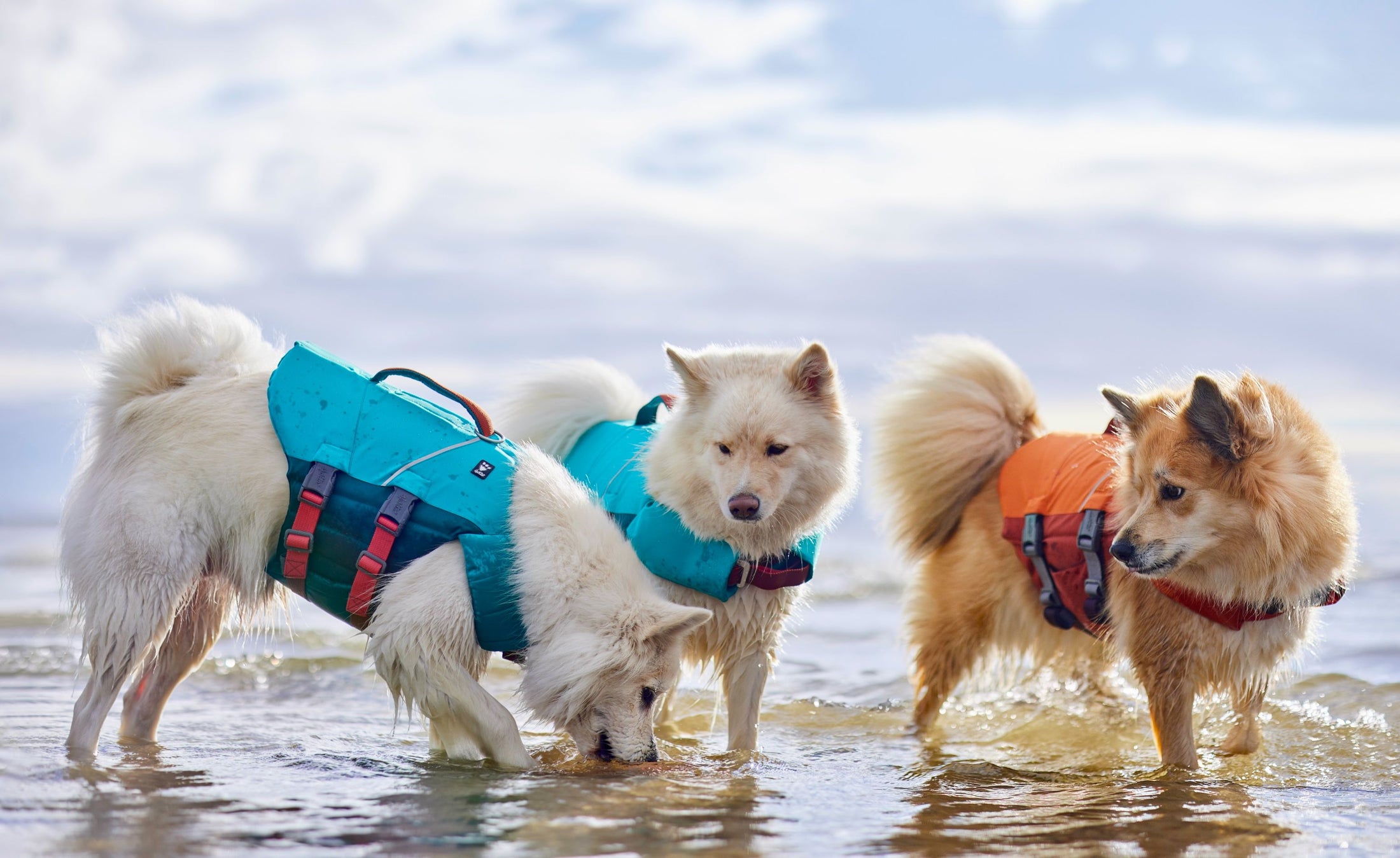 Hurtta Life Savior ECO Schwimmweste für Hunde