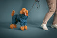 Bild in Galerie-Betrachter laden, Hurtta Extreme Overall II – warmer Hundeoverall für Winter
