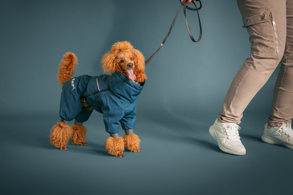 Hurtta Extreme Overall II – warmer Hundeoverall für Winter