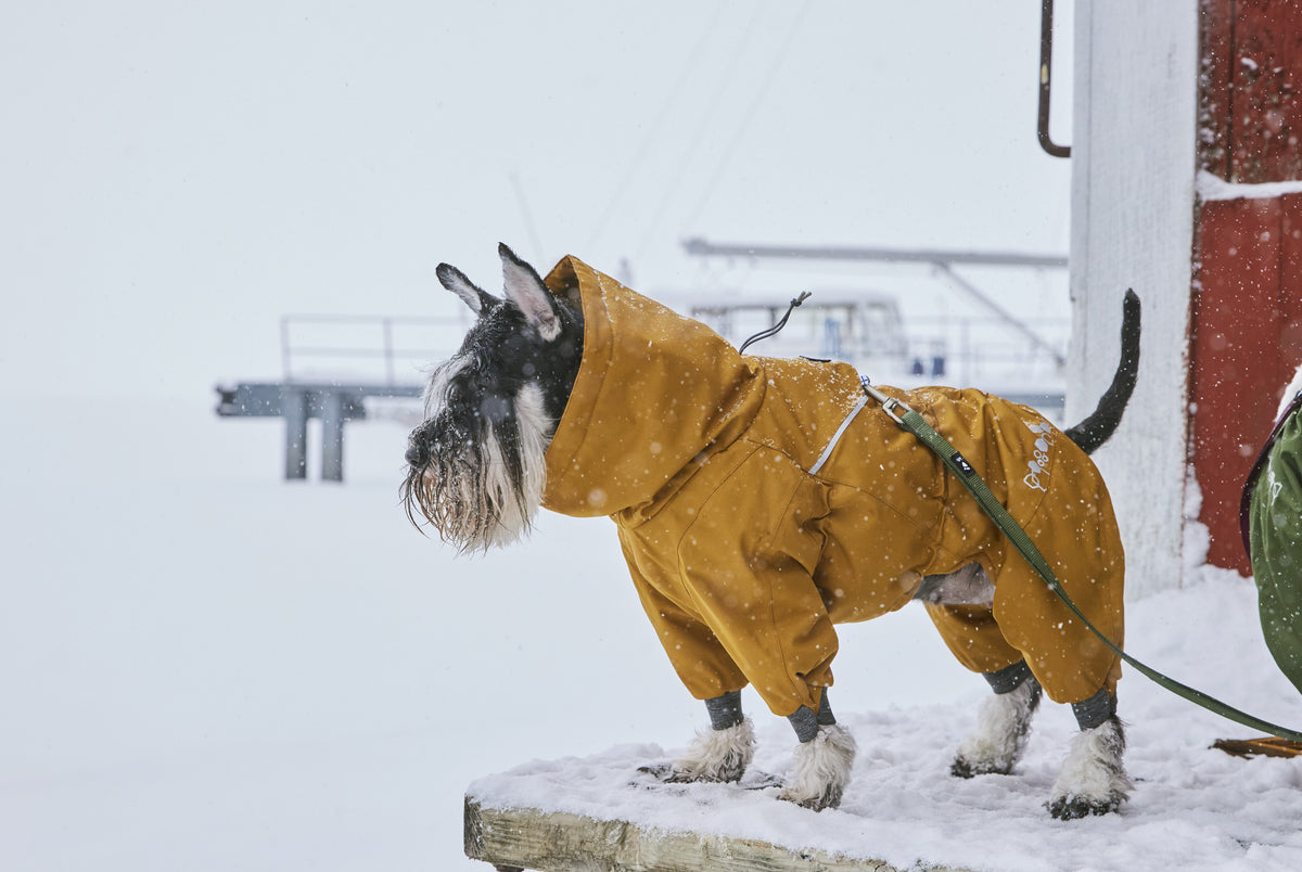 Hurtta Extreme Overall II – warmer Hundeoverall für Winter