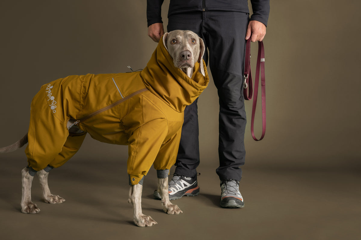 Hurtta Extreme Overall II – warmer Hundeoverall für Winter