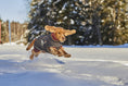 Bild in Galerie-Betrachter laden, Hurtta Hundejacke Walk All-Season Jacket
