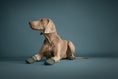 Bild in Galerie-Betrachter laden, Hurtta Hundeschuhe Weekend Warrior Boots - 2 Stück
