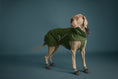 Bild in Galerie-Betrachter laden, Hurtta Hundeschuhe Weekend Warrior Boots - 2 Stück
