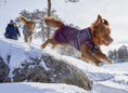 Bild in Galerie-Betrachter laden, Hurtta Warming Midlayer ECO – wärmende Hundejacke
