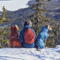 Bild in Galerie-Betrachter laden, Hurtta Winterjacke Extreme Warmer III
