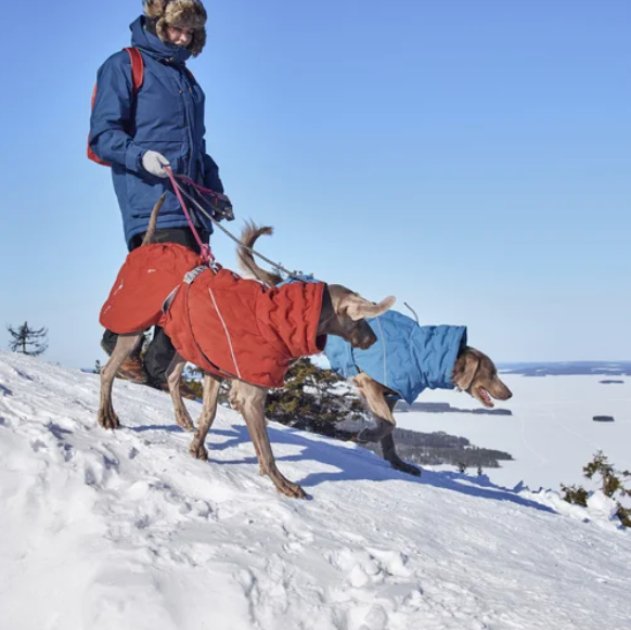 Hurtta Winterjacke Extreme Warmer III