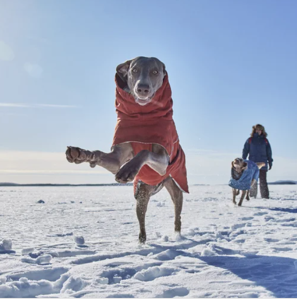 Hurtta Winterjacke Extreme Warmer III