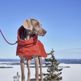 Bild in Galerie-Betrachter laden, Hurtta Winterjacke Extreme Warmer III

