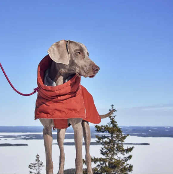 Hurtta Winterjacke Extreme Warmer III