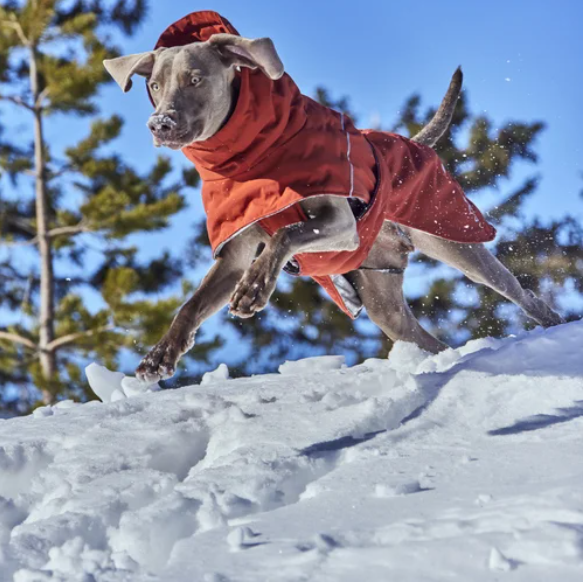 Hurtta Winterjacke Extreme Warmer III