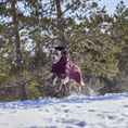 Bild in Galerie-Betrachter laden, Hurtta Winterjacke Extreme Warmer III
