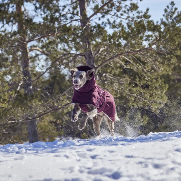 Hurtta Winterjacke Extreme Warmer III