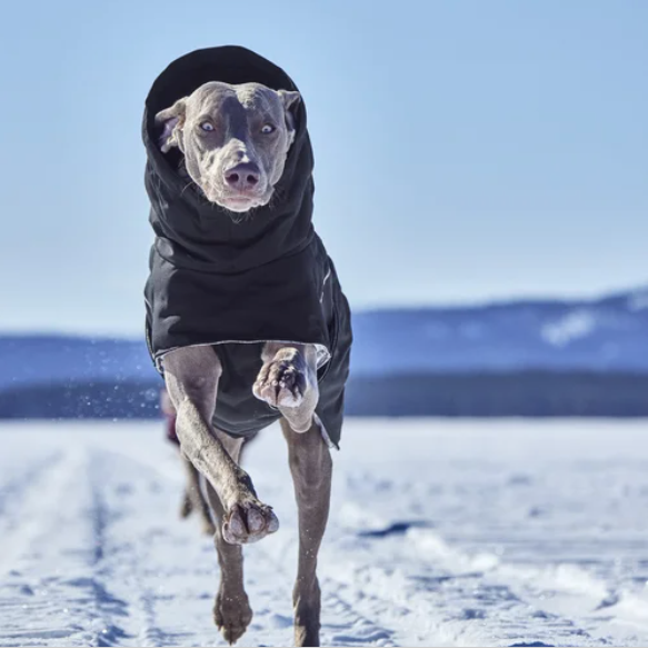 Hurtta Winterjacke Extreme Warmer III