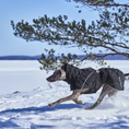 Bild in Galerie-Betrachter laden, Hurtta Winterjacke Extreme Warmer III
