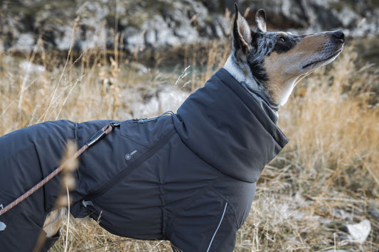 Hurtta Extreme Overall – warmer Hundeoverall für Winter & Kälte