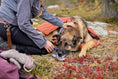 Bild in Galerie-Betrachter laden, Hurtta Sleepover Hunde-Schlafsack
