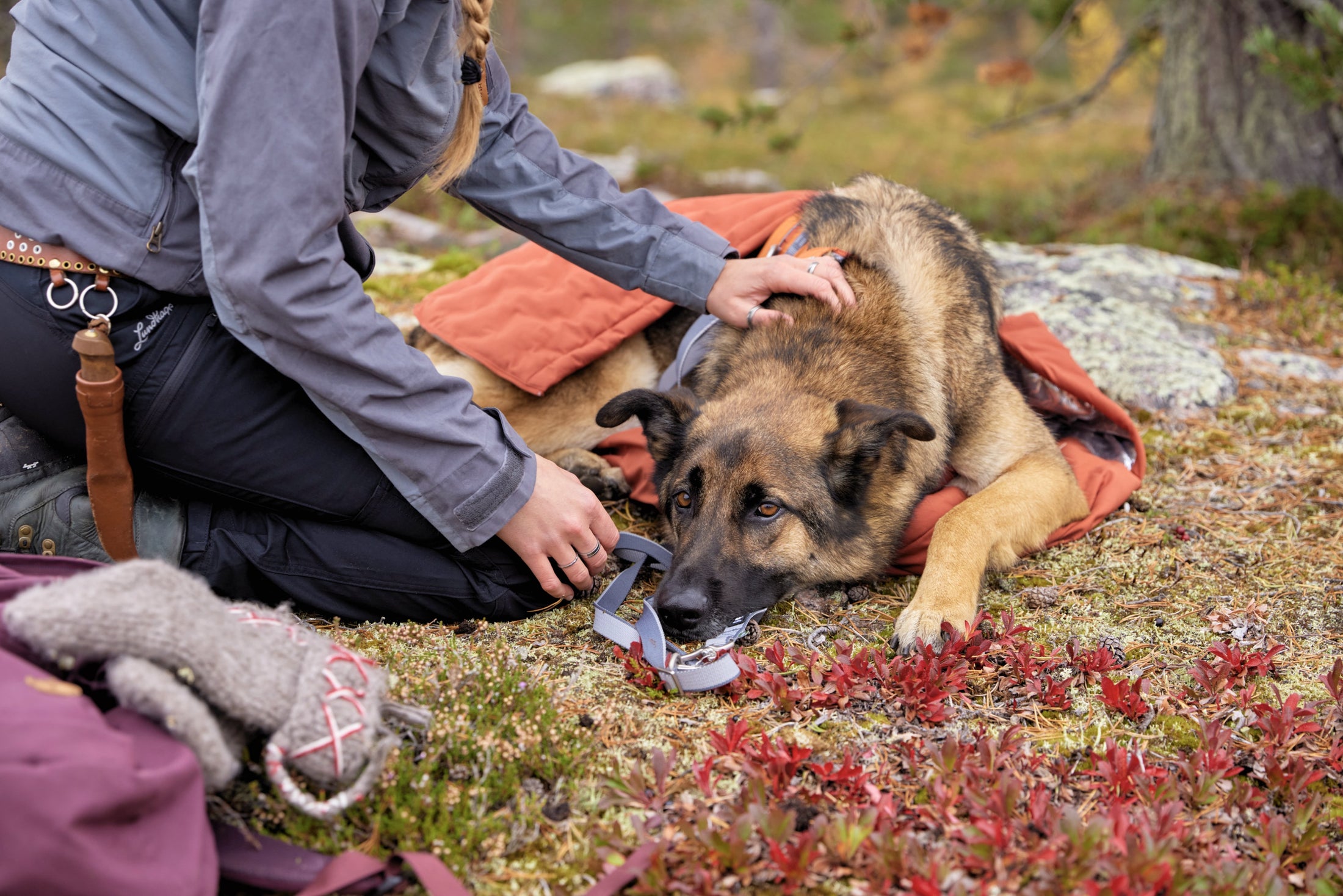 Hurtta Sleepover Hunde-Schlafsack