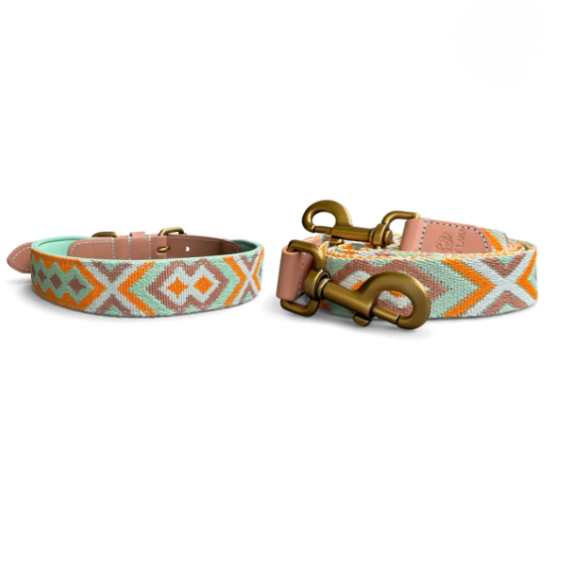 Kollektion Très chic - Set Hundehalsband und Leine - Mint/Orange