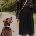 Bild in Galerie-Betrachter laden, Kollektion Très chic - Set Hundehalsband und Leine - Mint/Orange

