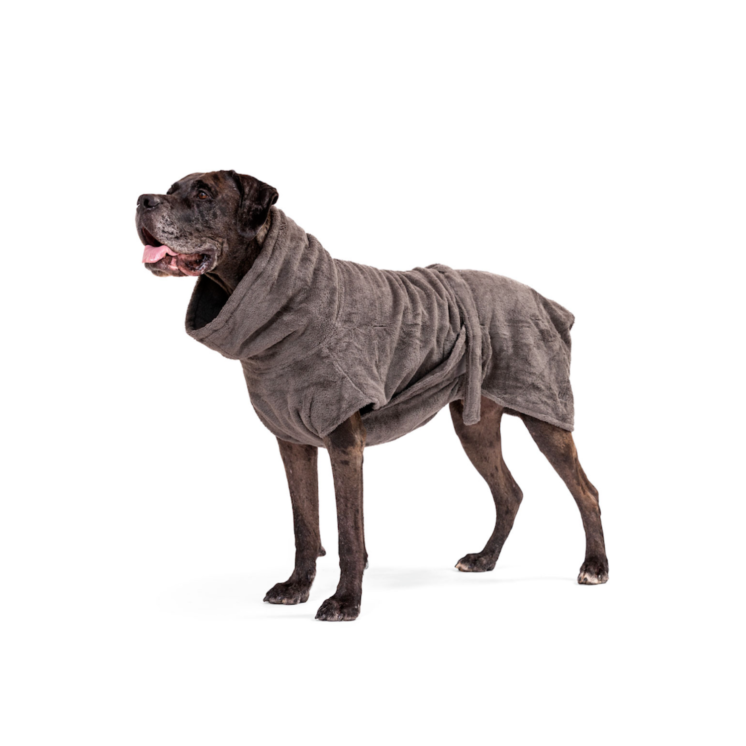 Hundebademantel aus Bio-Baumwolle
