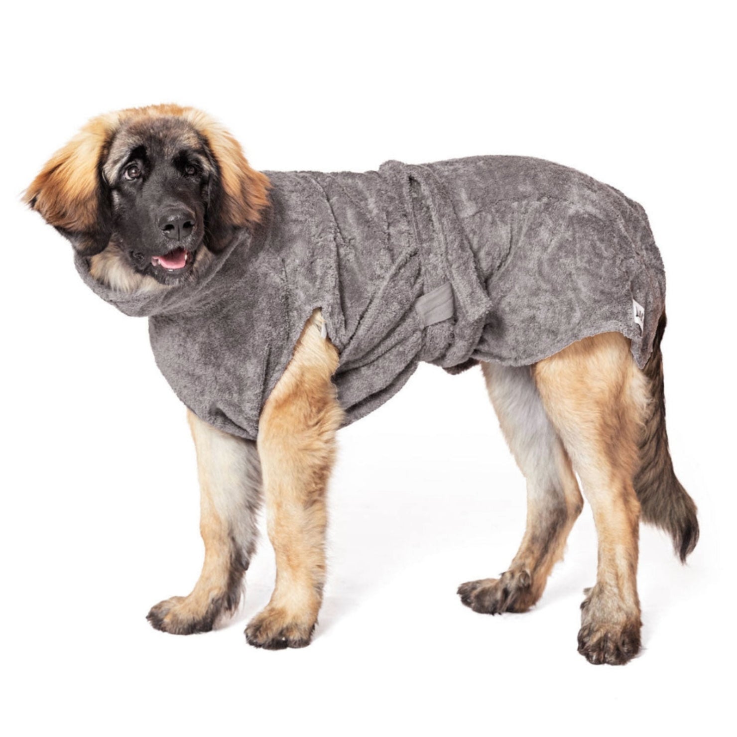 Hundebademantel aus Bio-Baumwolle