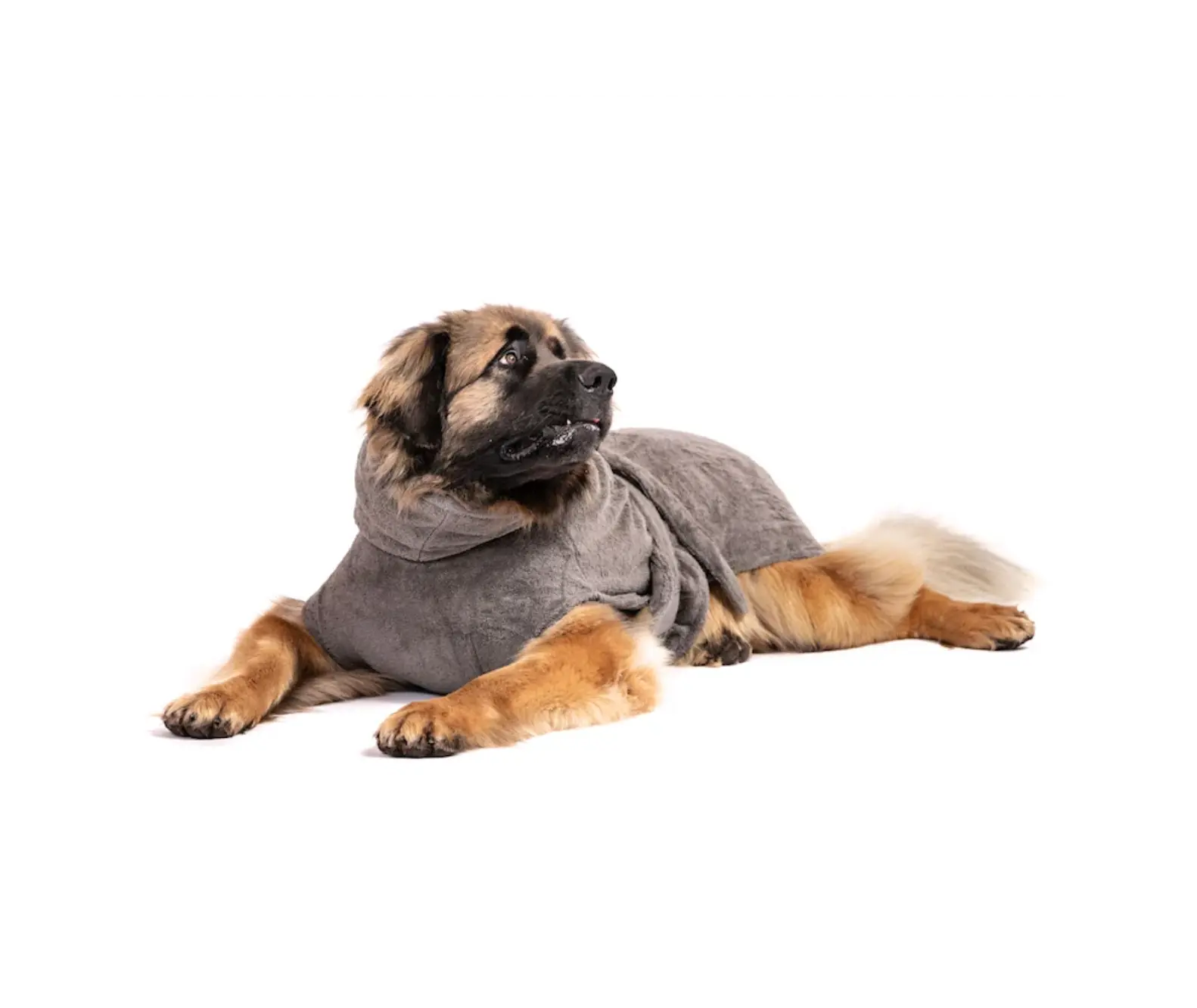 Hundebademantel aus Bio-Baumwolle