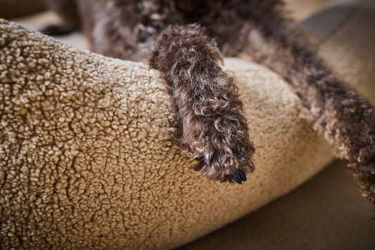 Laboni ORTHO Hundebett - TEDDY