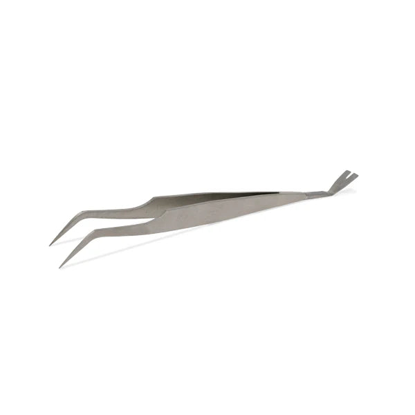 Zeckenzange aus Edelstahl