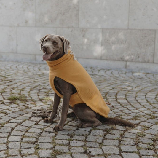 Hundepullover