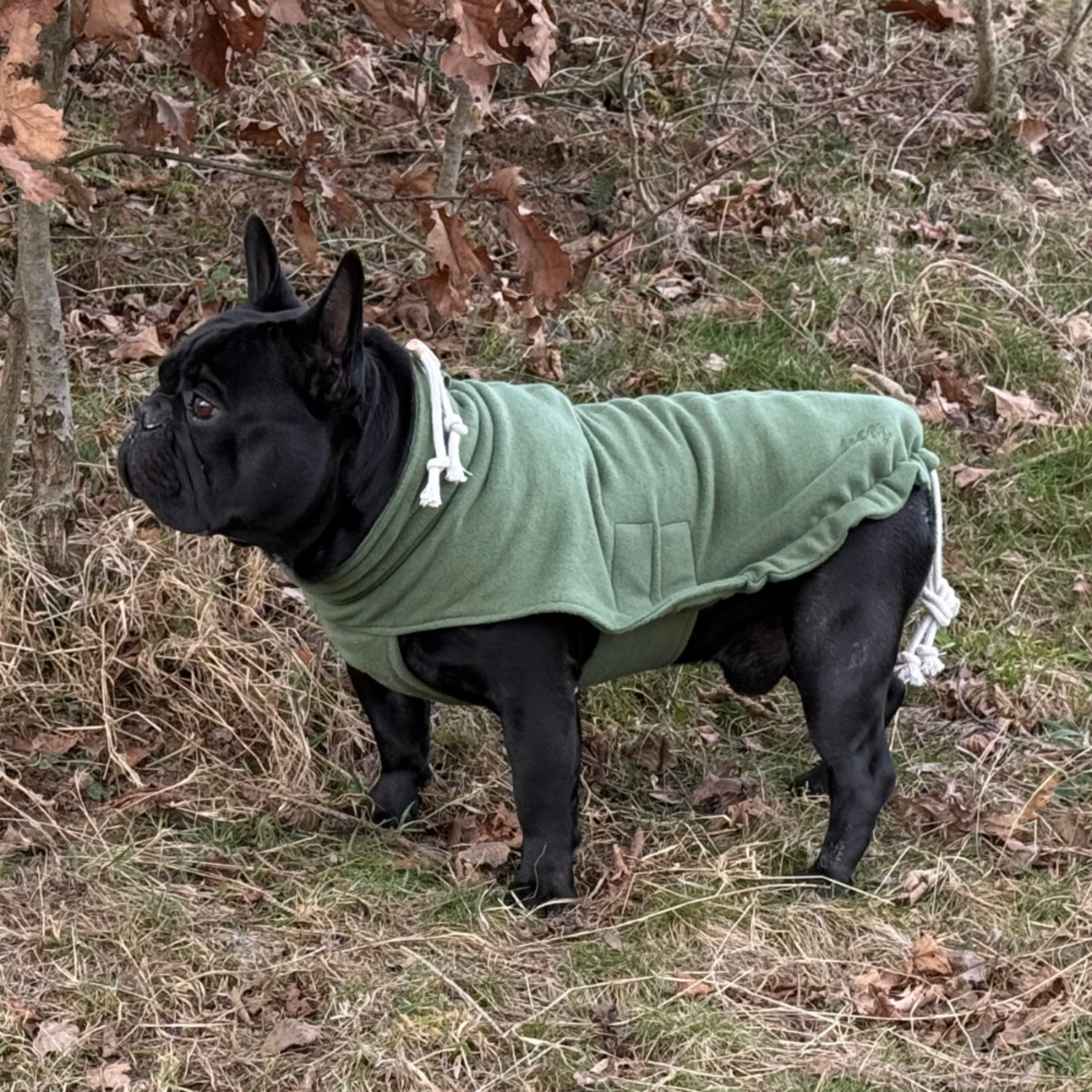 Hundepullover