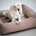 Bild in Galerie-Betrachter laden, ORTHO Hundebett - BUFFALO CREME
