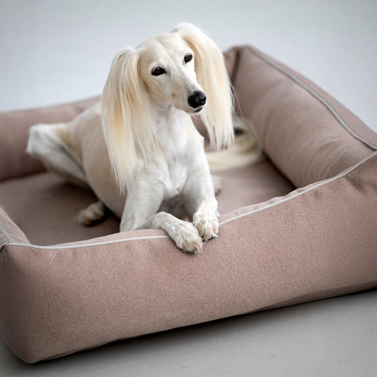 ORTHO Hundebett - BUFFALO CREME