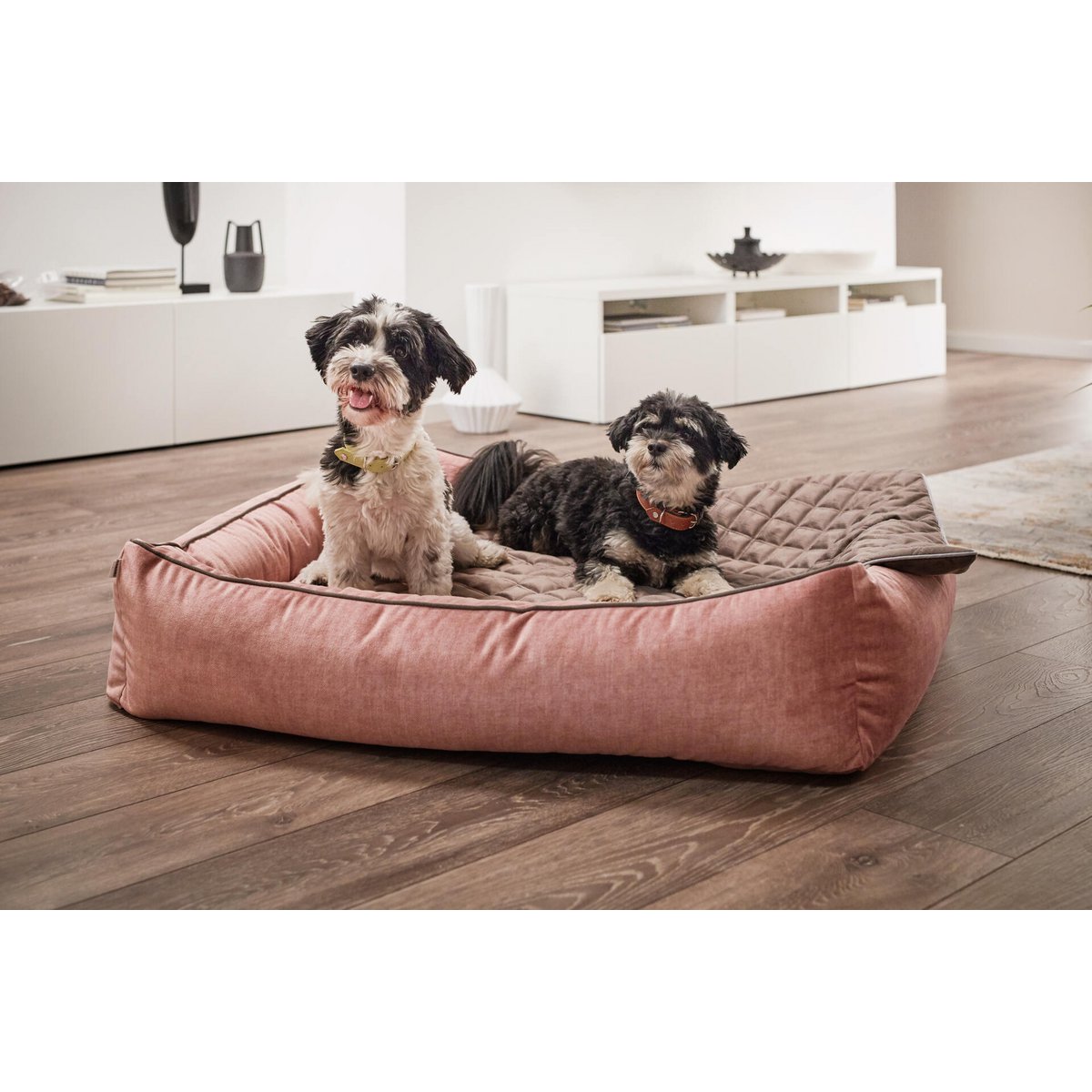 ORTHO Hundebetten