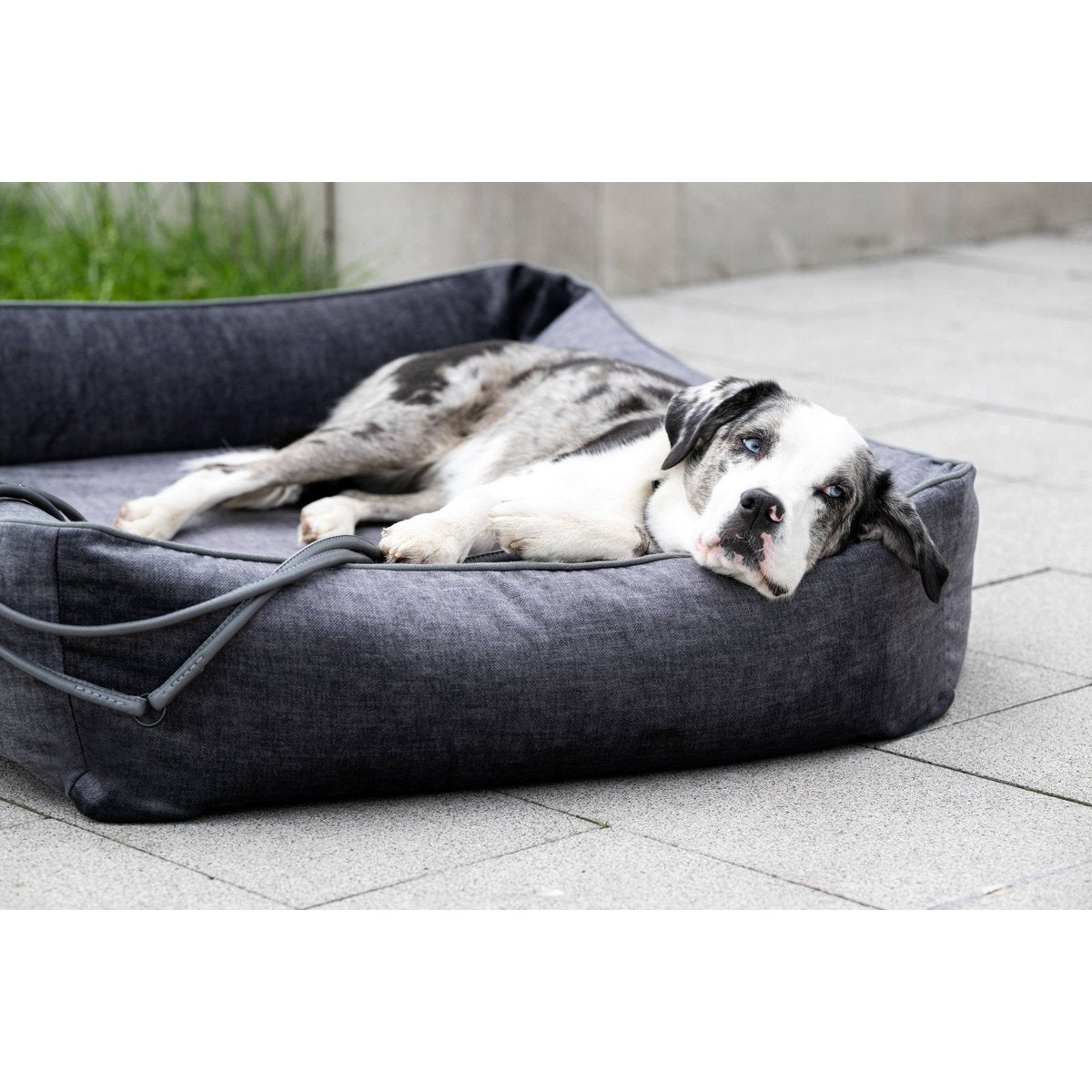 Laboni ORTHO Hundebett - GLAM GRAPHITE