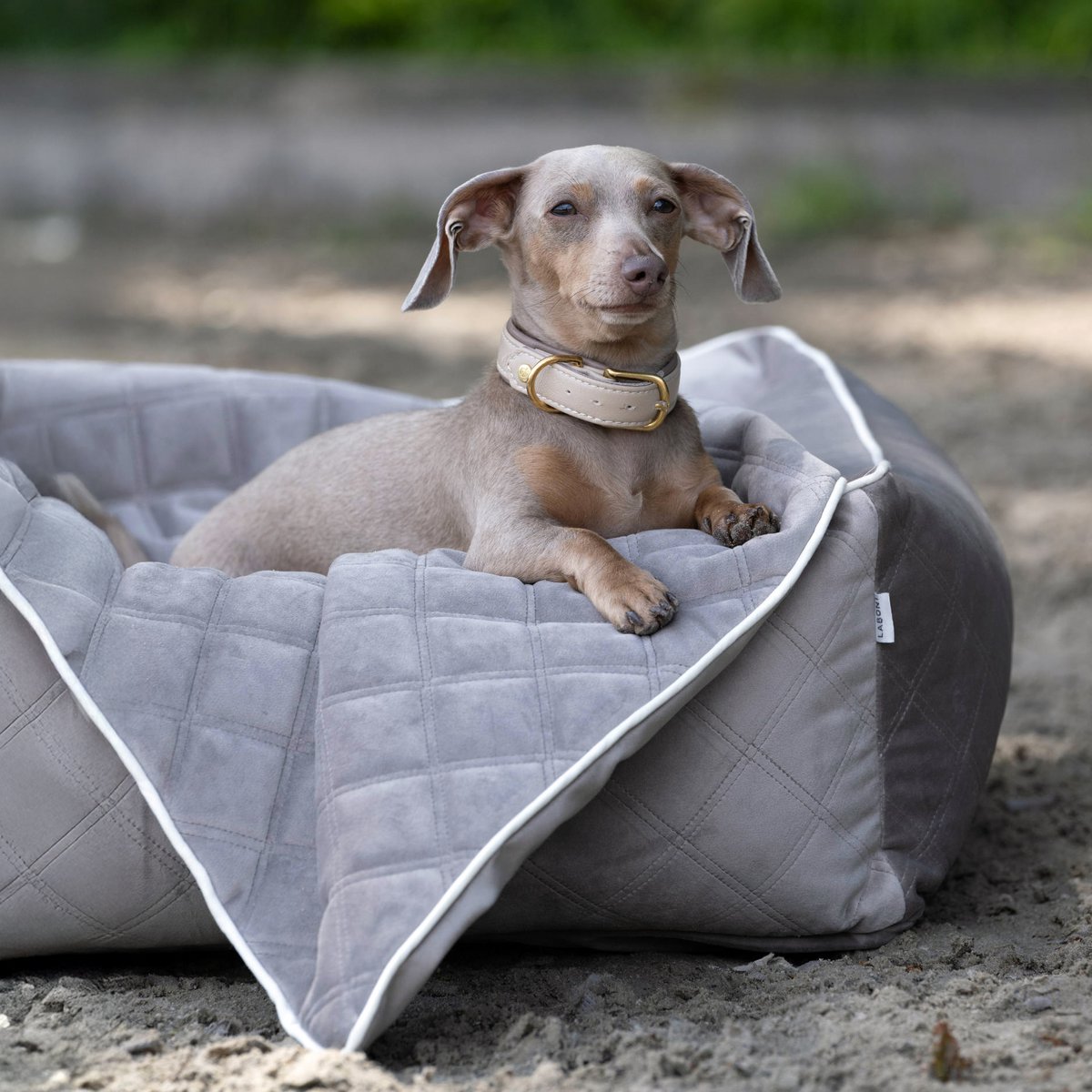 ORTHO Hundebett - OXFORD