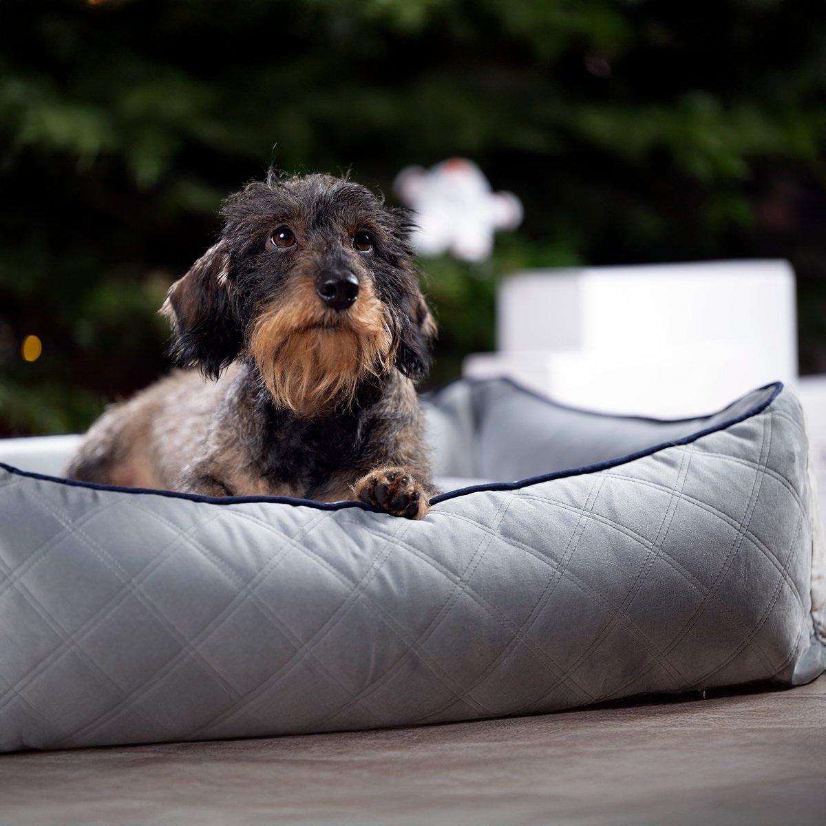 ORTHO Hundebett - OXFORD