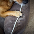 Bild in Galerie-Betrachter laden, ORTHO Hundebett - OXFORD
