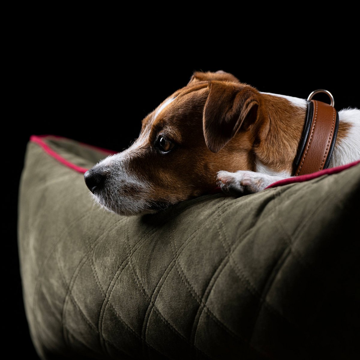 ORTHO Hundebett - OXFORD