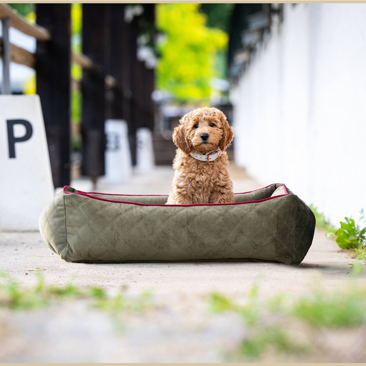 ORTHO Hundebett - OXFORD