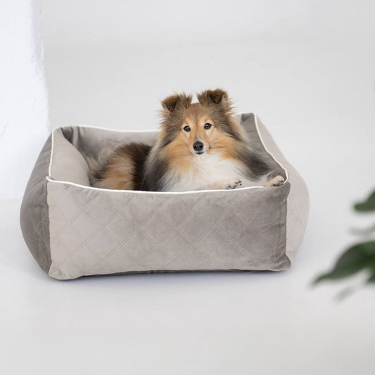 ORTHO Hundebett - OXFORD