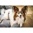 Bild in Galerie-Betrachter laden, Laboni Hundebett - SMOOTH
