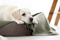Bild in Galerie-Betrachter laden, LABONI ORTHO Hundebett - TUDOR
